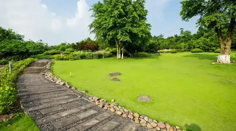 Essential Steps to a Perfectly Manicured Lawn