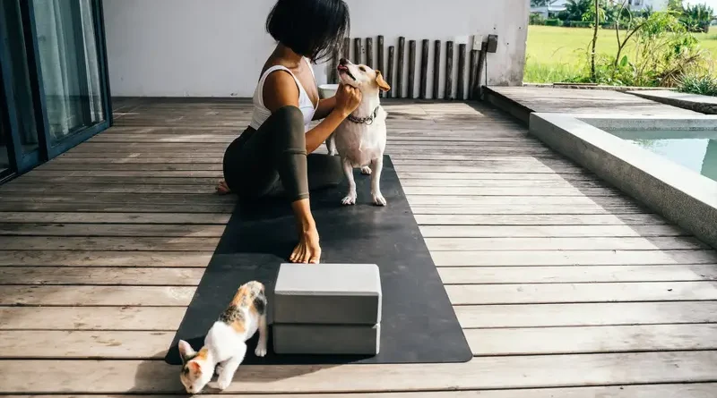 Pet Friendly Workouts