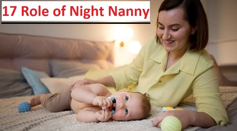 17 night nanny roles