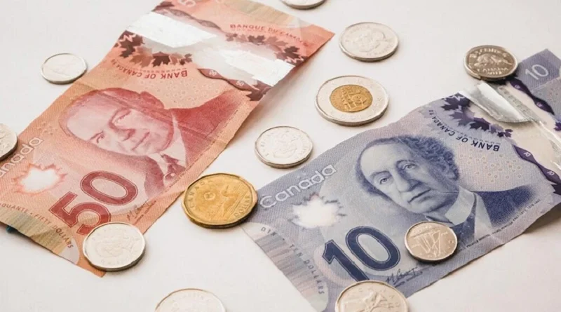 Debt Relief Options